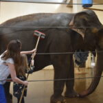 cincinnati zoo behind the scenes