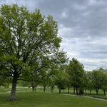 kingswood park in mason ohio