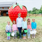 strawberry days