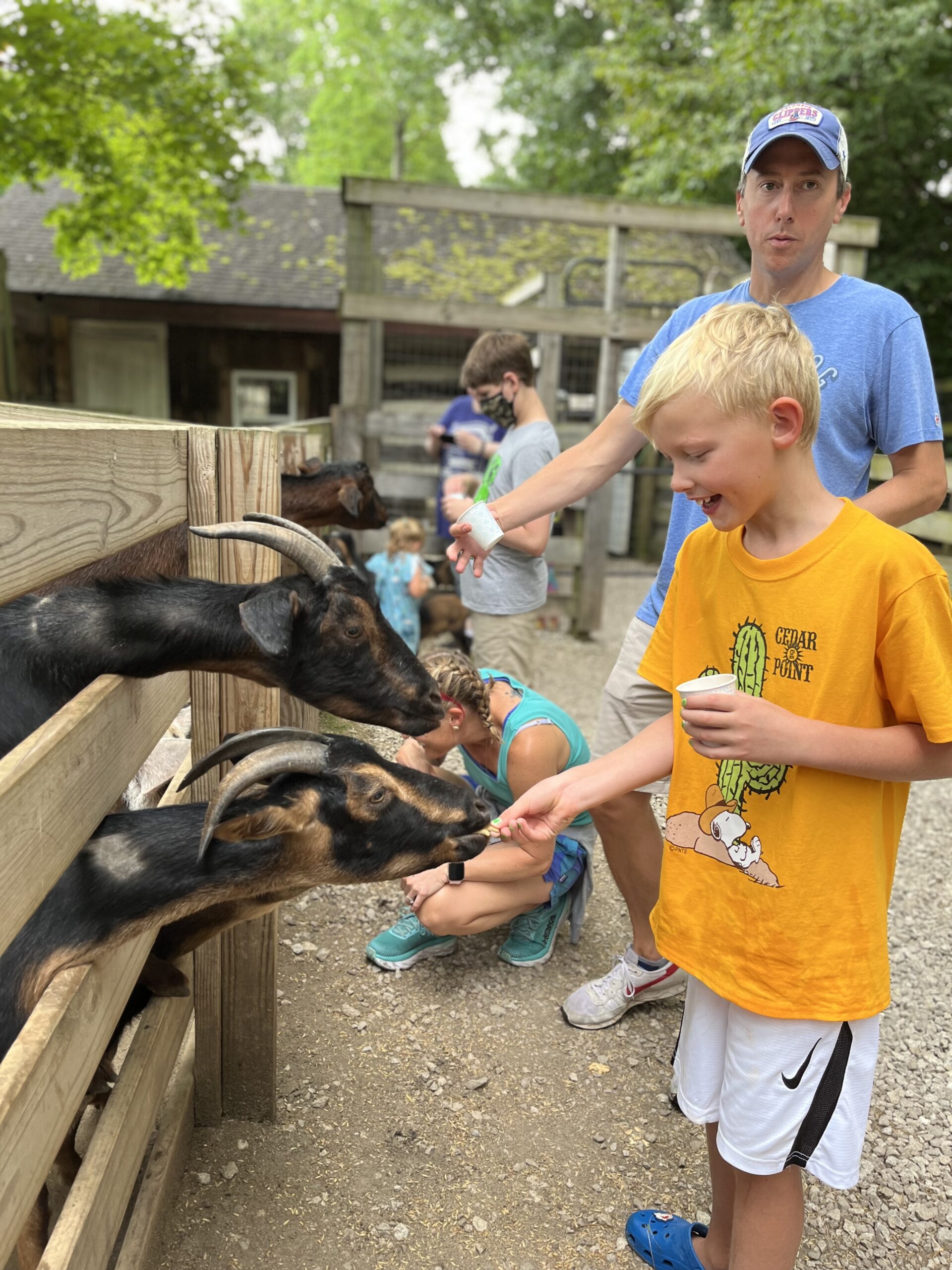 IMG_0691 Petting Zoo Olentangy Caverns 1 IMG_0691 Petting Zoo Olentangy Caverns 1