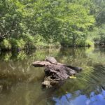 Florida Paddling Paradise