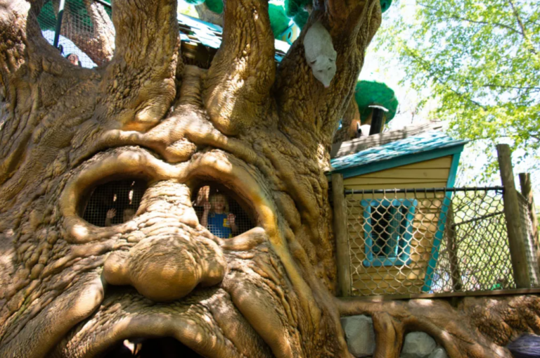 Fairy Tale Festival at Highfield Discovery Garden