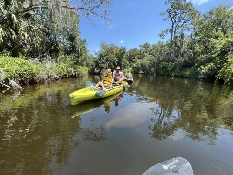 paddling paradise in florida