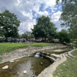 gower park playground