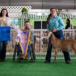 ReserveChampDairyGoat