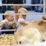 ohiostatefair