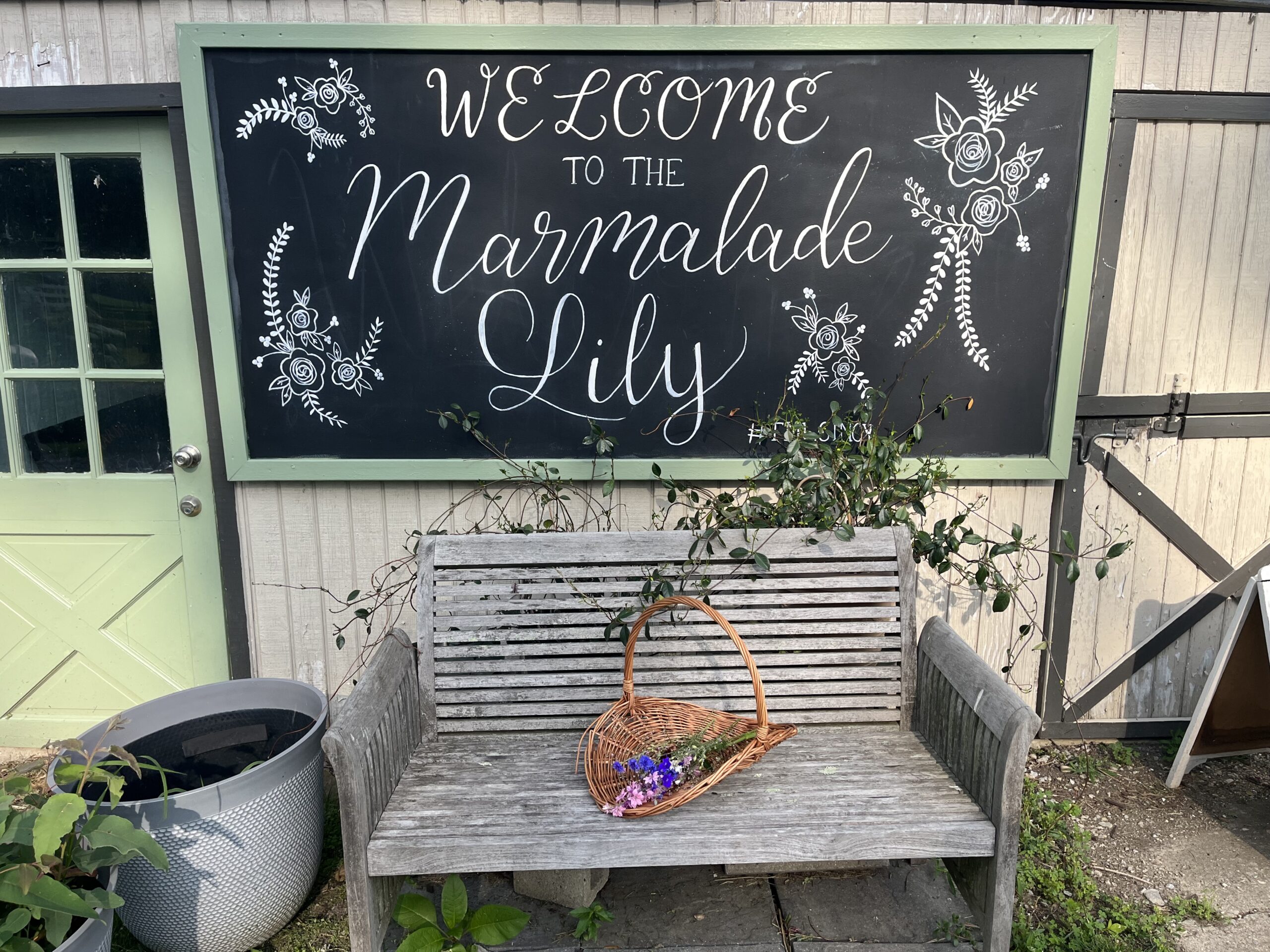 marmalade lily flower farm