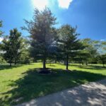 Pine Hill Lakes Park