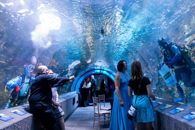 WAVE Foundation’s Annual 21+ Nauti Nite Fundraiser at Newport Aquarium