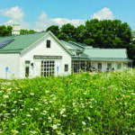 AULLWOOD FARM