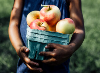 Best Apple Orchards near Cincinnati & Dayton for Apple Picking {2026} Cincinnati Apple Orchards
