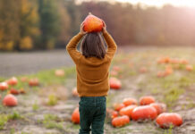 21 Best Pumpkin Patches around Cincinnati and Dayton {2025}
