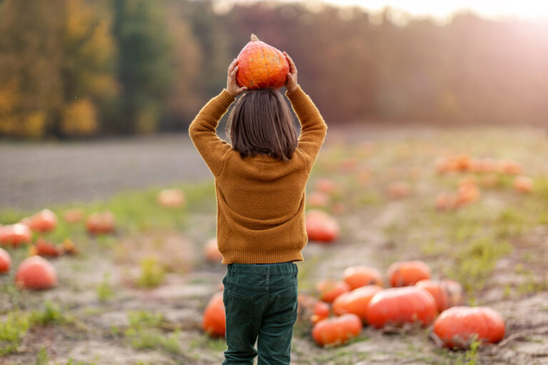 26 Best Pumpkin Patches around Cincinnati and Dayton {2026}