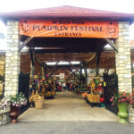 Burger Farm