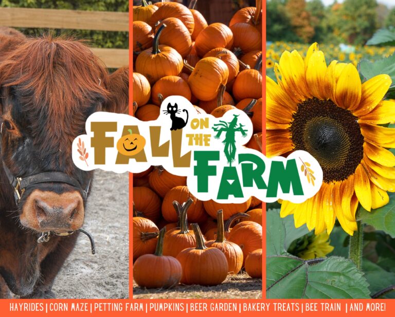 Blooms & Berries Fall on the Farm Giveaway