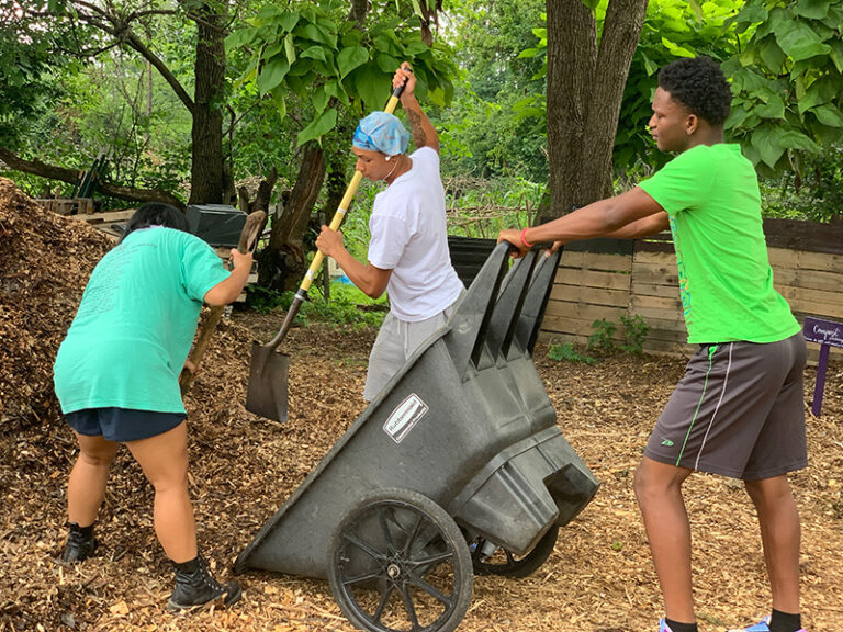 Hidden Gems: Tikkun Farm