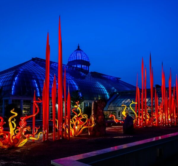 Chihuly41-hero-600x560