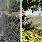 Screenshot 2023-10-16 2.39.18 PM