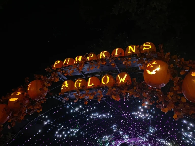 Worth the Drive: Pumpkins Aglow at Franklin Park Conservatory
