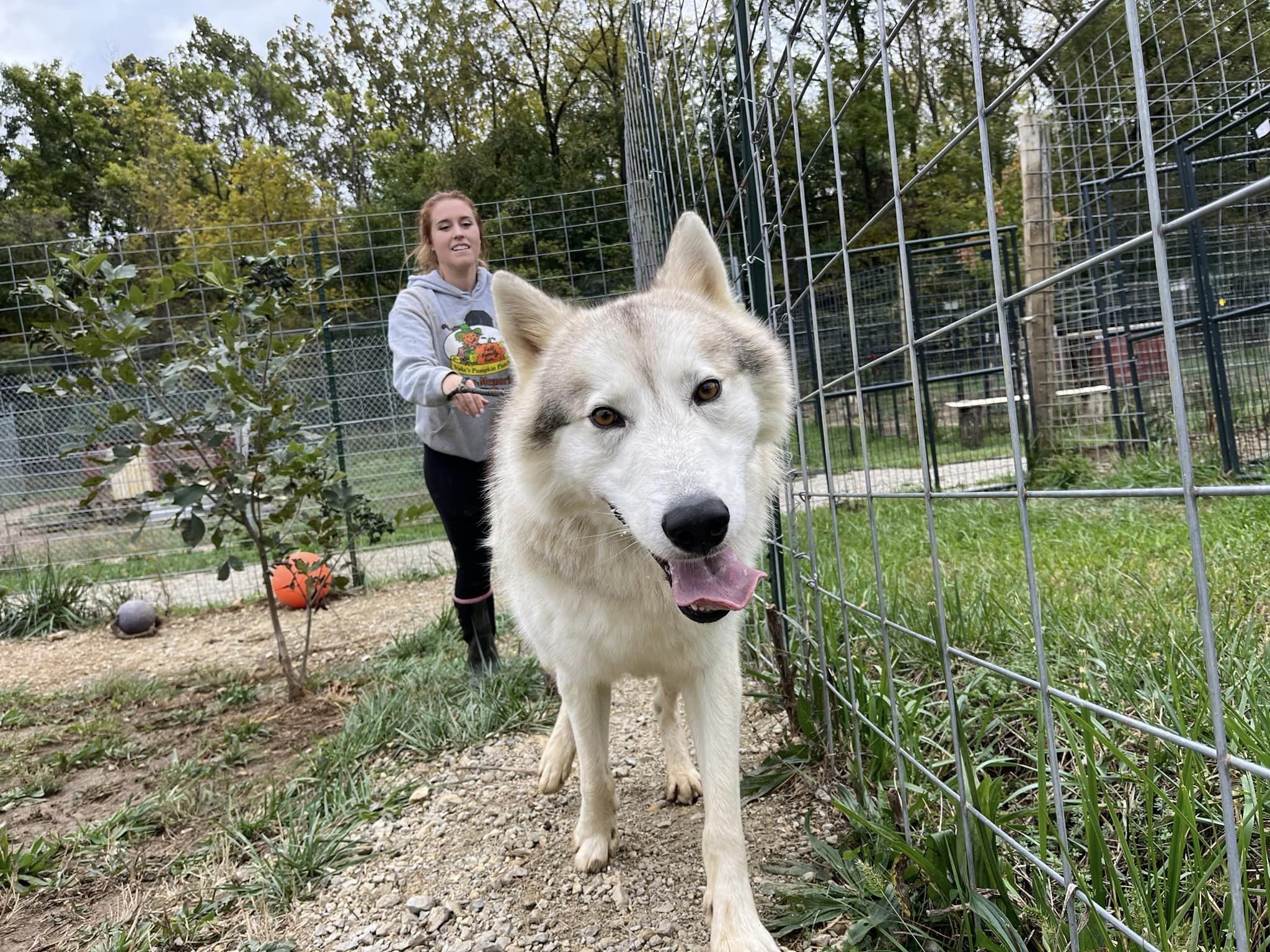 howl-o-ween at red riding hood rescue project