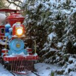 11263018905_4dc4113360_o_Provided_20by_20Cincinnati_20Zoo_a25d4acb-0224-4d42-9cef-064f48eada35