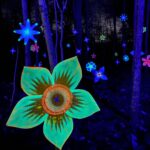 484791117_1056842896480839_5855468683897628941_n