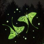 486265859_1062353402596455_1649936576189011348_n