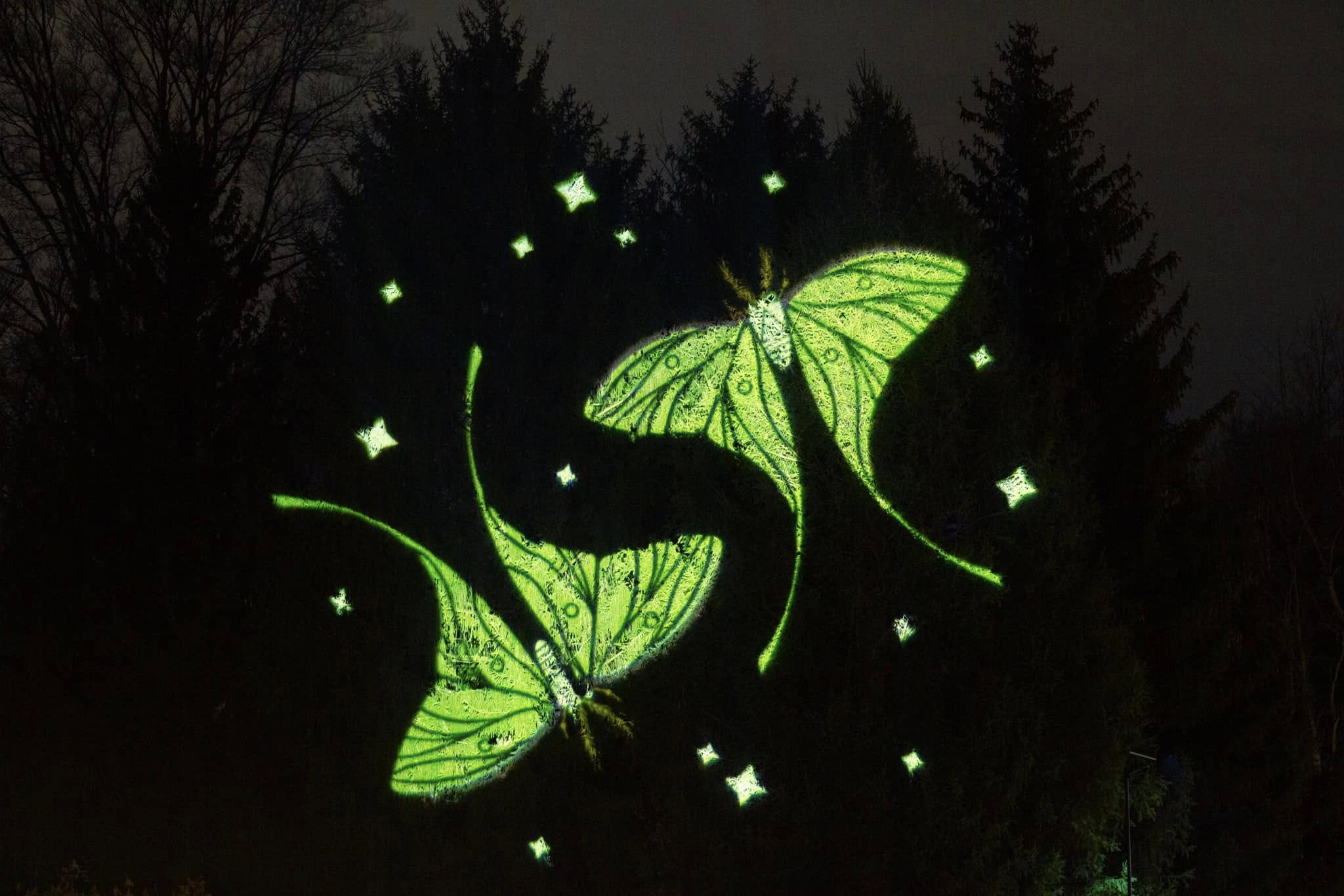 486265859_1062353402596455_1649936576189011348_n 486265859_1062353402596455_1649936576189011348_n