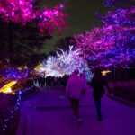 489693166_1081632593987169_7001835515649559883_n