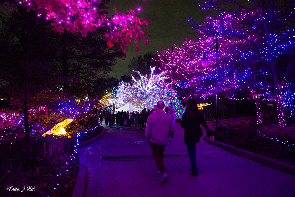 489693166_1081632593987169_7001835515649559883_n