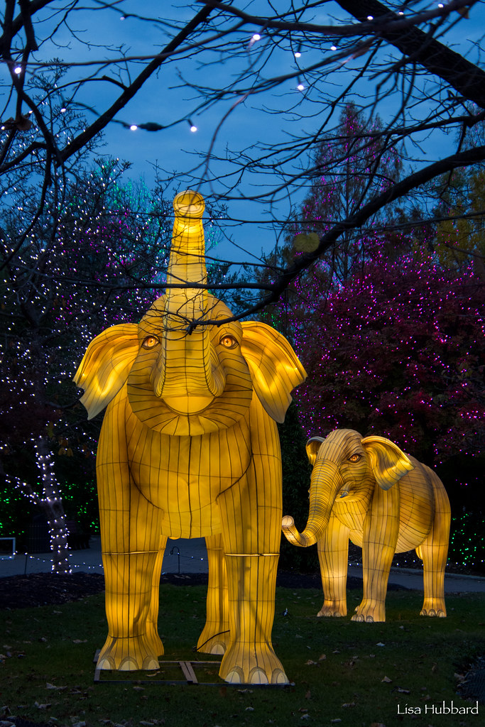 489790029_1081549467328815_8810548019185873855_n