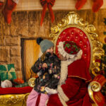 490468843_1083378427145919_4567776735502532709_n