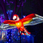 490492095_1082445657239196_7684056497935073151_n