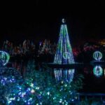 51709681173-b7296f47c7-b-1668731268