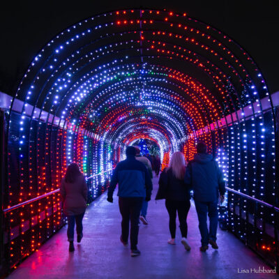 525356859_1166492695501158_5693912263989707882_n