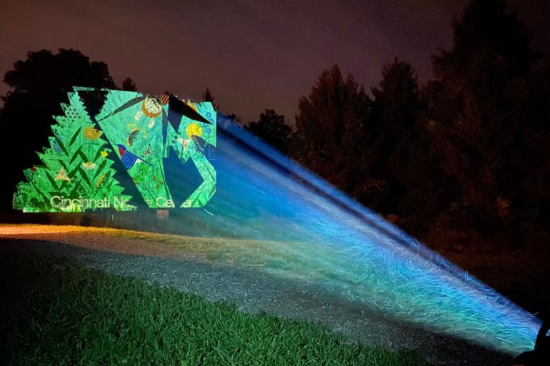 Light-in-the-Forest Light-in-the-Forest