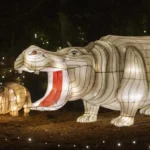 d7ce735b-9c83-4453-b18b-2a5207965c41-11-18-22Festival_of_Lights20