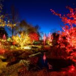 486083977_1081948803976224_1981453631225506646_n