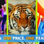 Experience Cincinnati ALL YEAR – 5