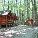 wild cabins