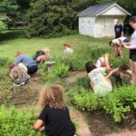 Gardening
