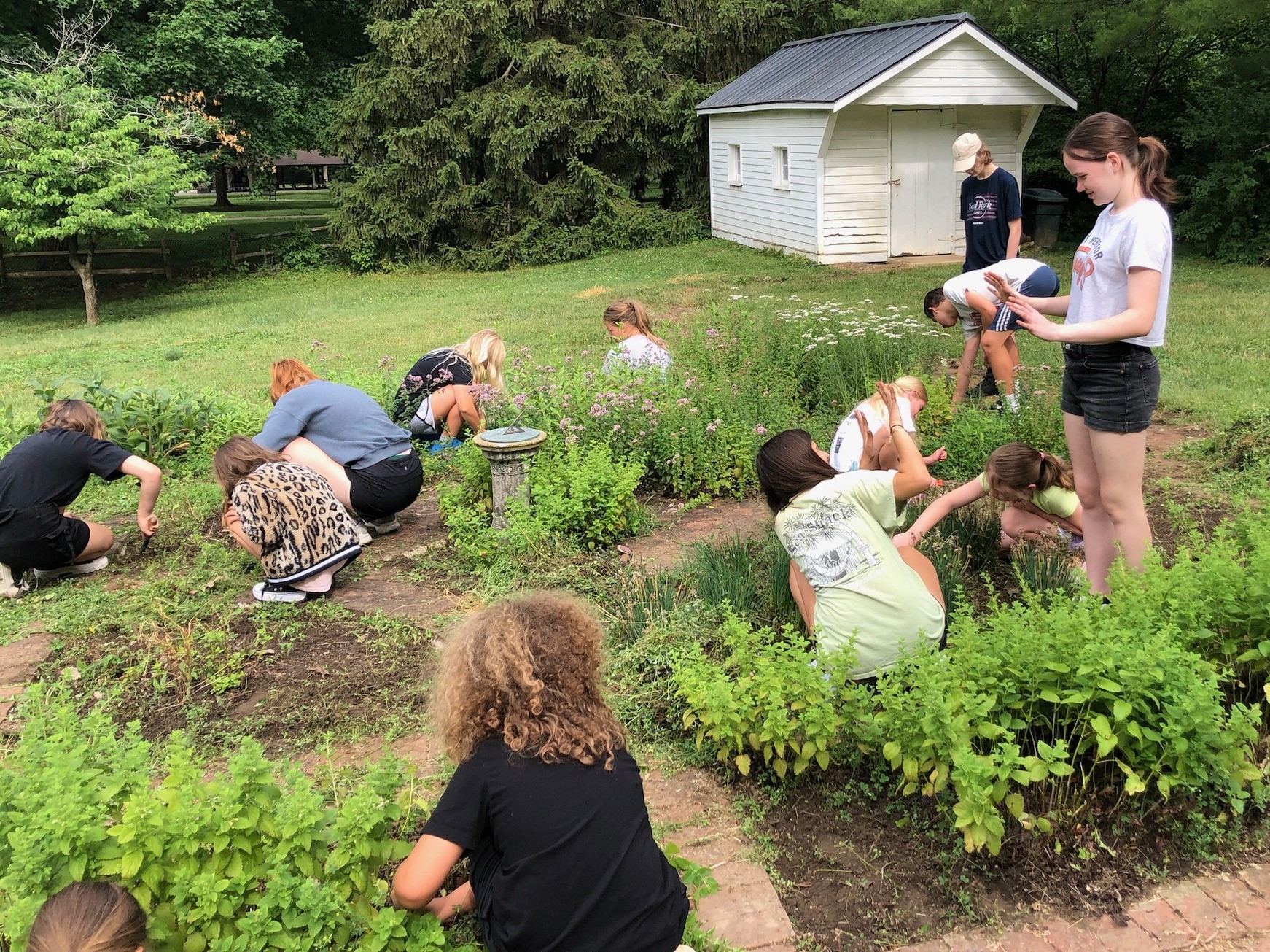 Gardening