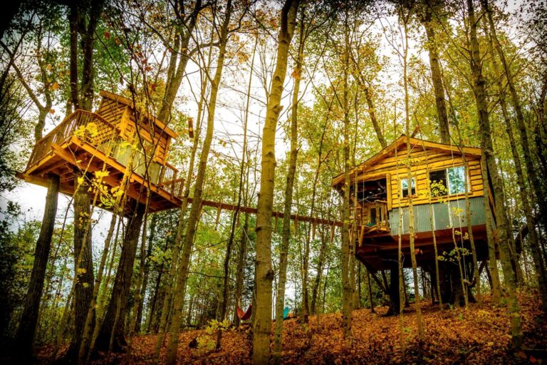 Stay in a Tree House at EarthJOY Village