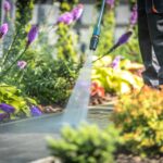 Power Washing Garden Paths