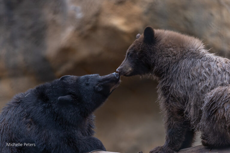 54957779222_9fd348a3d9_b-768x512