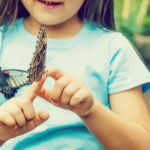 Beautiful butterfly sitting on the girl hand