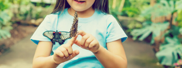 Butterflies in Space at Krohn Conservatory