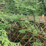 1200px_crop_BLK_Canopy-Walk-Opening-visitors-on-walk-36-Virginia-Gordon