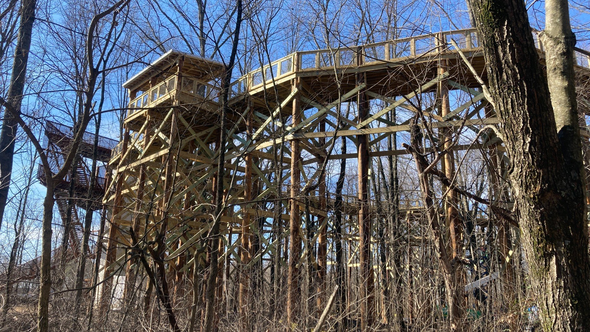 Blacklick-Woods-canopy-walk-3