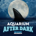 AquariumAfterDark_600SQ_WithNAQlogo
